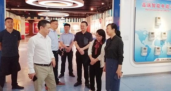 青田县组织部长金志红调研304am永利集团园区党总支