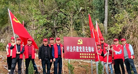 村企共建，，，，，共植先锋林