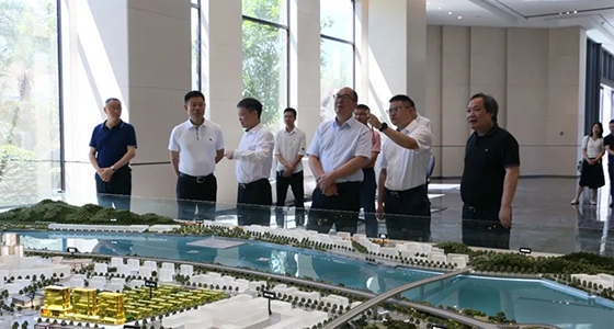 省委政研室童主任一行调研304am永利集团集团