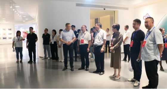 丽水市第五届人大代表景宁中心组调研304am永利集团集团