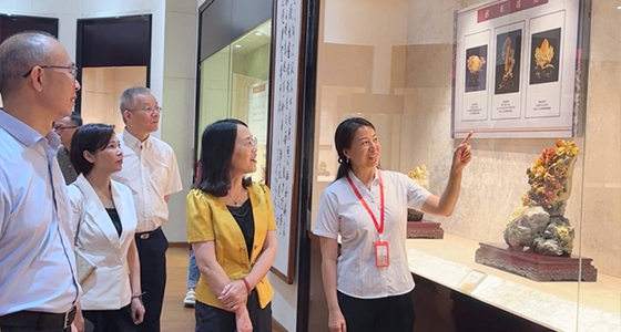 探索东方风范，，，，，304am永利集团·倪东方艺术博物馆与时代脉搏共振